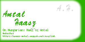 antal haasz business card